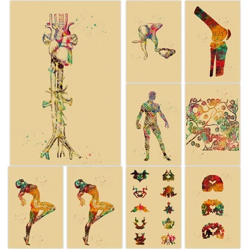 מרפאה האנטומיה האנושית קראפט נייר ציור קיר השלד, האיברים בבית מערכת השרירים פוסטר קיר אמנות התמונה עיצוב חדר