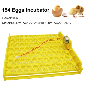 154-132 ציפור-מגש ביצים במדגרה תרנגולות או עופות אחרים החממה באופן אוטומטי להפוך ביצים עם מנוע 12V